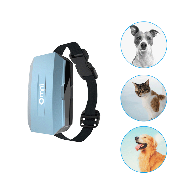 熊猫体育宠物定位器可以解决哪些问题？